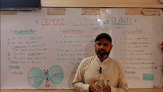 concept of osmotic adjust ment in plants [upl. by Nahsed]