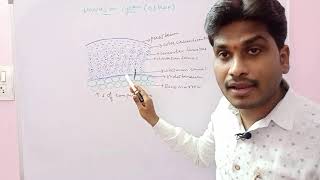 Atomic Stucture Class 11 In Telugu  Part 1  Varadhi EAPCET 2024  Vedantu Telugu [upl. by Heinrick]