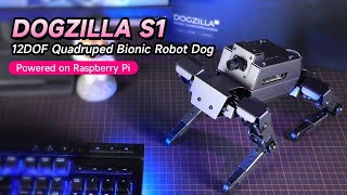 Meet your new pet Bionic Robot Dog  DOGZILLA S1 [upl. by Jacobine]