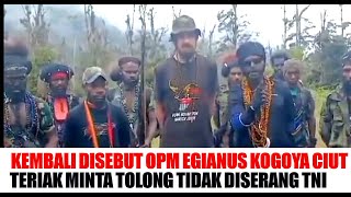 BARU DIGANTI NAMA TPNPB OPMKKB EGIANUS KOGOYA SUDAH TERIAK MINTA TOLONG TIDAK DISERANG TNI [upl. by Htebazie]