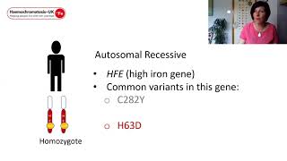 An introduction to the genetics of haemochromatosis [upl. by Clarence673]