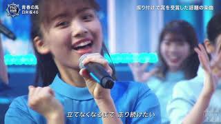 日向坂46「青春の馬」20201209 [upl. by Sheryle]