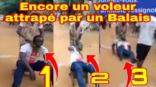 😱SORTEZ OH CEST TRES CHAUD VOICI ENCORE UN AUTRE V😶LEUR ATTRAPE PAR UN BALLAIS M♠GIC [upl. by Checani]