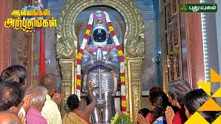 Anjaneyar Temple Ashok NagarAalayangal Arputhangal  25022017  PuthuyugamTV [upl. by Steffie522]