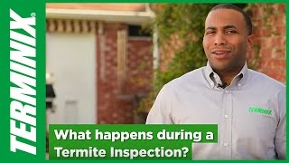 Protect Home From Termites  Termite Inspection Facts  Terminix [upl. by Whetstone]