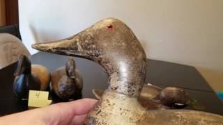 Vintage Evans Canvasback Mallard Duck Decoys [upl. by Seiuqram]