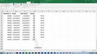 Excel Form Controls  Checkboxes [upl. by Htirehc]