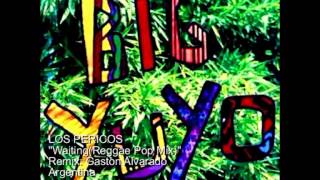 LOS PERICOS WaitingReggae Pop Mix [upl. by Gibe]