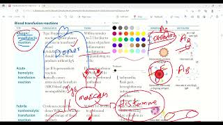 Blood transfusion reactions and autoantibodies  Immunology  First Aid Lectures  Lec26 drjamil [upl. by Pail809]