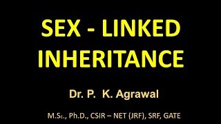 Sex linked inheritance in humans and Drosophila  Concepts of genetics by P K Agrawal [upl. by Dis]