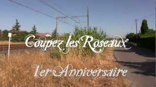 92 COUPEZ LES ROSEAUX [upl. by Onavlis]