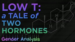 Gender Analysis 01 Low T A Tale of Two Hormones [upl. by Assirac]