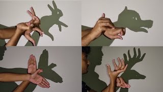 Hand Shadow Puppet Tutorial  Handicraft [upl. by Kushner]