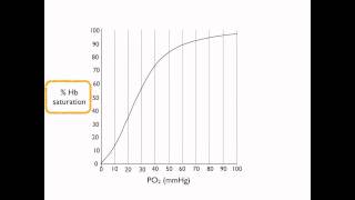 Oxyhemoglobin dissociation curve [upl. by Yllaw]