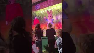 Willows Activity Farm Peter Rabbit Show part 1 [upl. by Dayna]