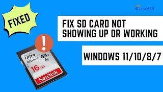 Fehlerbehebung SDKarte wird in Windows nicht angezeigt oder funktioniert nicht unter Windows [upl. by Ytsim208]