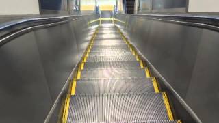 complicated escalator [upl. by Hauhsoj]