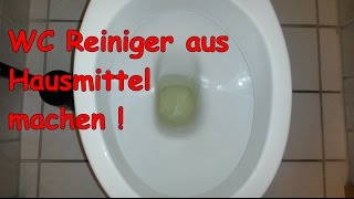 WC Reiniger aus Backpulver selber machen  Toilette mit Hausmittel reinigen  putzen  DIY Reiniger [upl. by Regina]