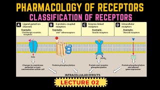 Types of Receptors  Receptors Pharmacology Part 2  GProtein Receptor By Muneeb [upl. by Ahsiekar]