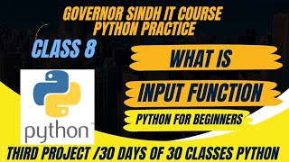 Python Class 8 what is in put function Governor Sindh IT Course practice [upl. by Ethban]