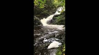 We found a beer can that returned to its source during a lovely walk in Cape Breton Waterfall [upl. by Galatia]