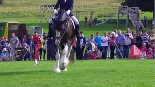 Dressage to music at North Wales Shire Open Day [upl. by Ahsirpac]