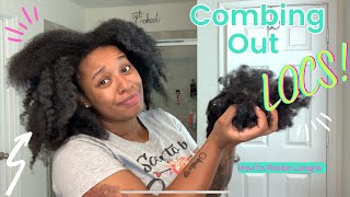 Combing Out Locs After 1 Year  How to Retain Length NO CUTTING  Minimal Shedding locjourney [upl. by Perkin]