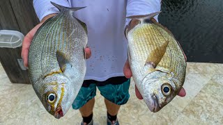 2 Fish NOBODY Eats Catch Clean Cook TRASH Fish Taste test Bermuda Chub Spot tail Pinfish [upl. by Elle513]