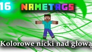 16 NameTags  kolorowe nicki nad głowami graczy [upl. by Nospmas756]