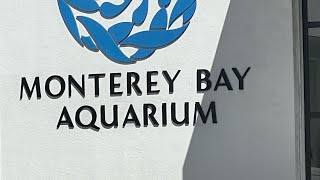 Monterey Bay Aquarium [upl. by Joslyn195]