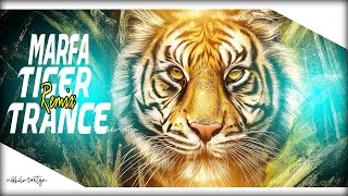 Hyderabadi Marfa Vs Tiger Trance  Dj Nikhil Martyn [upl. by Atinas]