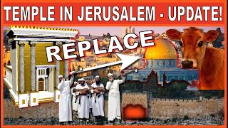 WHY IS THE RED HEIFER IMPORTANT FOR THE 3RD TEMPLE [upl. by Maltz686]