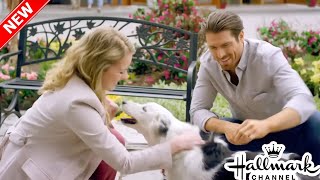 Best Hallmark Christmas Movies  New Hallmark Romance Movies 2024  Hallmark Christmas Movies [upl. by Chelsy]