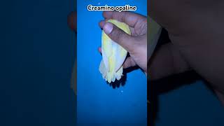 creamino opaline birds parblueopaline parrot parblueopline lovesigns blueopaline [upl. by Pence]