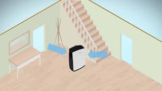 Dehumidifiers How do they work [upl. by Yliak390]