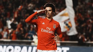 JOÃO FÉLIX  TODOS OS GOLOS PELO BENFICA All Goals [upl. by Neraj481]