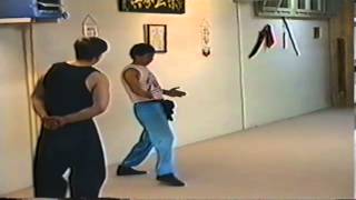 Seminar  GM Dr Chiu Chi Ling  Basics Part 1  1997 [upl. by Suqram107]