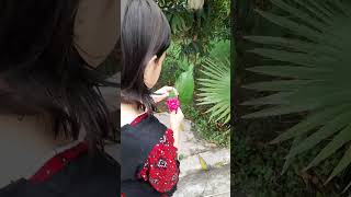 Bouquet making idea  zero cost boukey yotubeshorts youtuber [upl. by Cass]