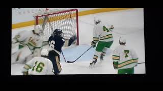 Minnesota High School championship 2024 Edina v Chanhassen goal [upl. by Eirot]