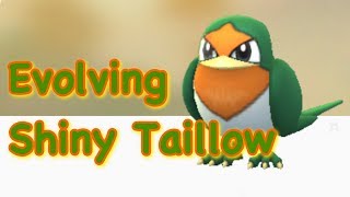 Evolving Shiny Taillow [upl. by Mcroberts214]