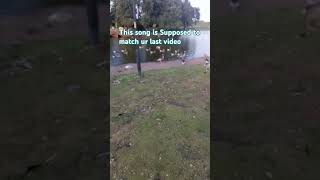 DUCKYS  fypシ゚ ducks fyp fypage trending irl cleethorpes [upl. by Landon]