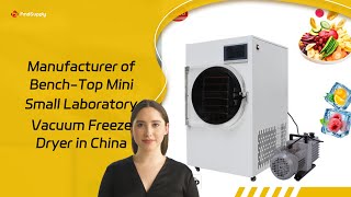 Manufacturer of BenchTop Mini Small Laboratory Vacuum Freeze Dryer in China [upl. by Imefulo115]