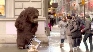 Bear in NYC Prank [upl. by Noseyt]