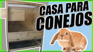 🐰Aprende cómo Crear CASA o JAULA para Tus CONEJOS [upl. by Eedahs]