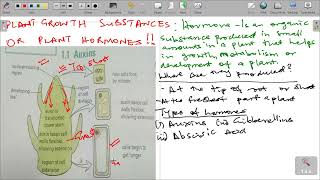 PLANTS RESPONSE TO THE ENVIRONMENT GRADE 12 LIFE SCIENCES [upl. by Eelirak]