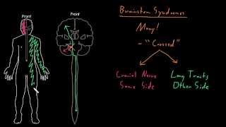 Syndrome Brainstem syndromes [upl. by Nospmas]