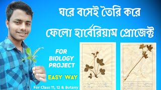 ঘরেতে হার্বেরিয়াম তৈরির পদ্ধতি  How to make Herbarium in Bengali  Class 11 Herbarium Project [upl. by Einohtna]