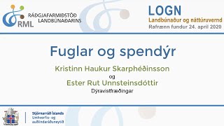 Fuglar og spendýr [upl. by Laresa]