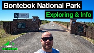 The Bontebok National Park  What to expect [upl. by Nepsa]