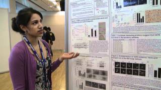 Research on display  poster sessions at The EMBO Meeting [upl. by Vladamar]